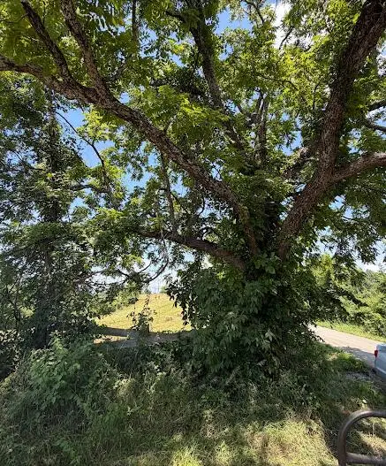 0 Vallandingham Road, Dry Ridge, KY 41035 - #3
