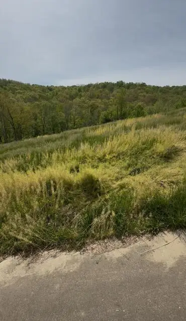 3766 Steep Creek Road, Latonia, KY 41015 - #2