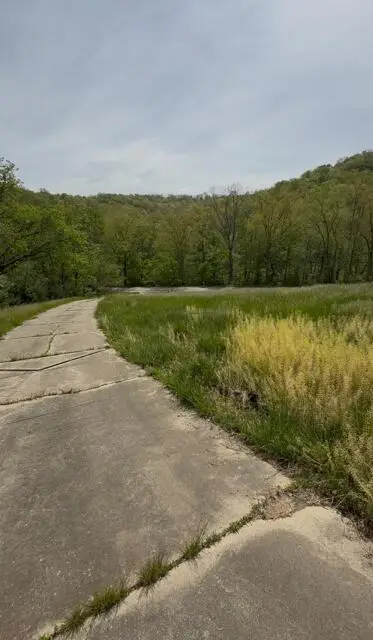 3766 Steep Creek Road, Latonia, KY 41015 - #3