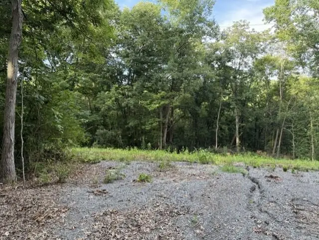 697 Galbraith Road, Brooksville, KY 41004 - #3