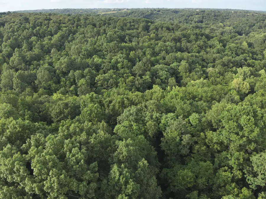 1121 Galbraith Road, Brooksville, KY 41004 - #3