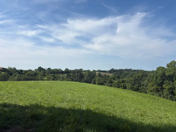 0 Jonesville 7.85 Acres Road, Dry Ridge, KY 41035