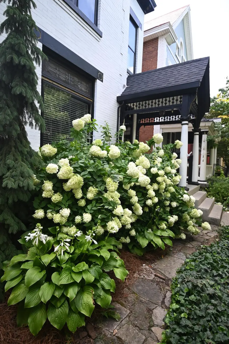 816 Maple Avenue, Newport, KY 41071 - #3