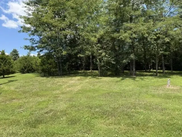 451 Mann Spur, Mount Olivet, KY 41064 - #2