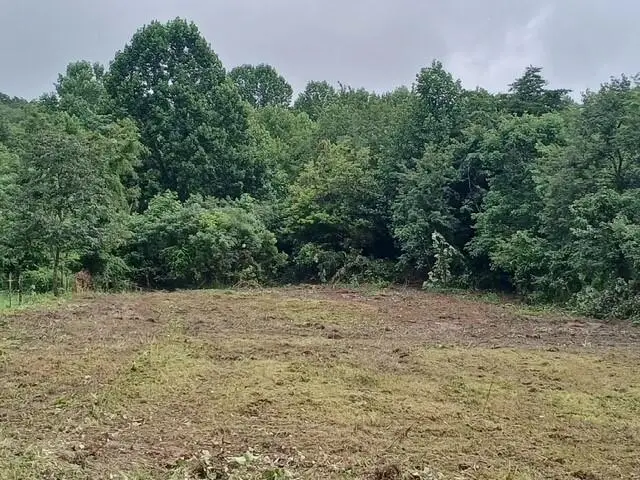 4821 Goddard Road, Wallingford, KY 41093 - #1