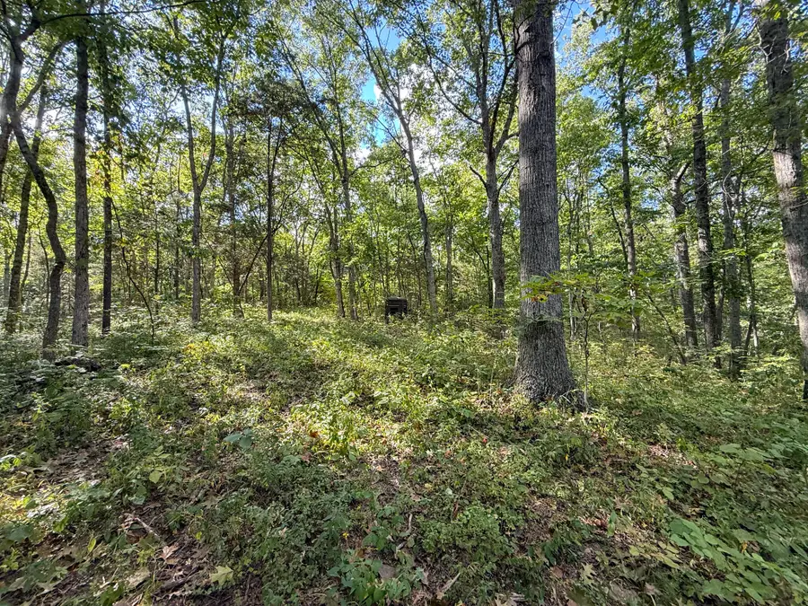 4725 Bald Knob Road, Frankfort, KY 40601 - #3