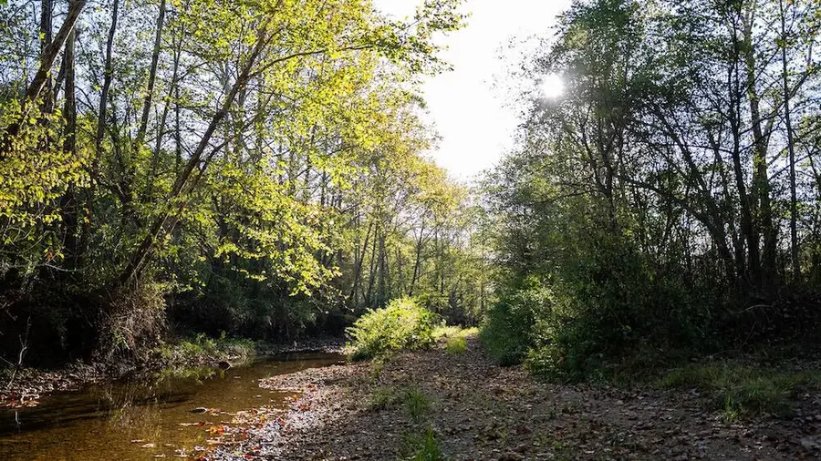 00 Kentucky 344, Vanceburg, KY 41179 - #2
