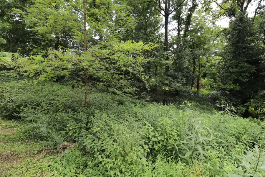 354 Garrett Avenue, Brooksville, KY 41004 - #3