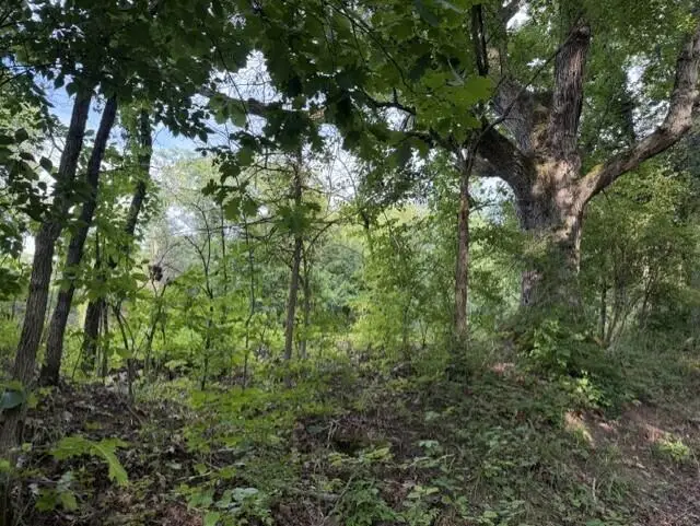 881 Galbraith Road, Brooksville, KY 41004 - #3