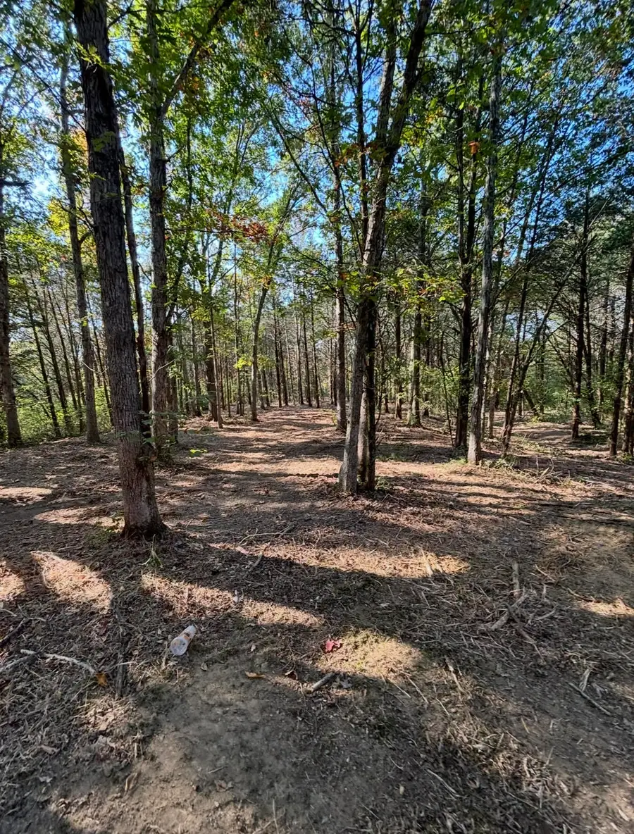 8000 Taft Hwy, Dry Ridge, KY 41035 - #2