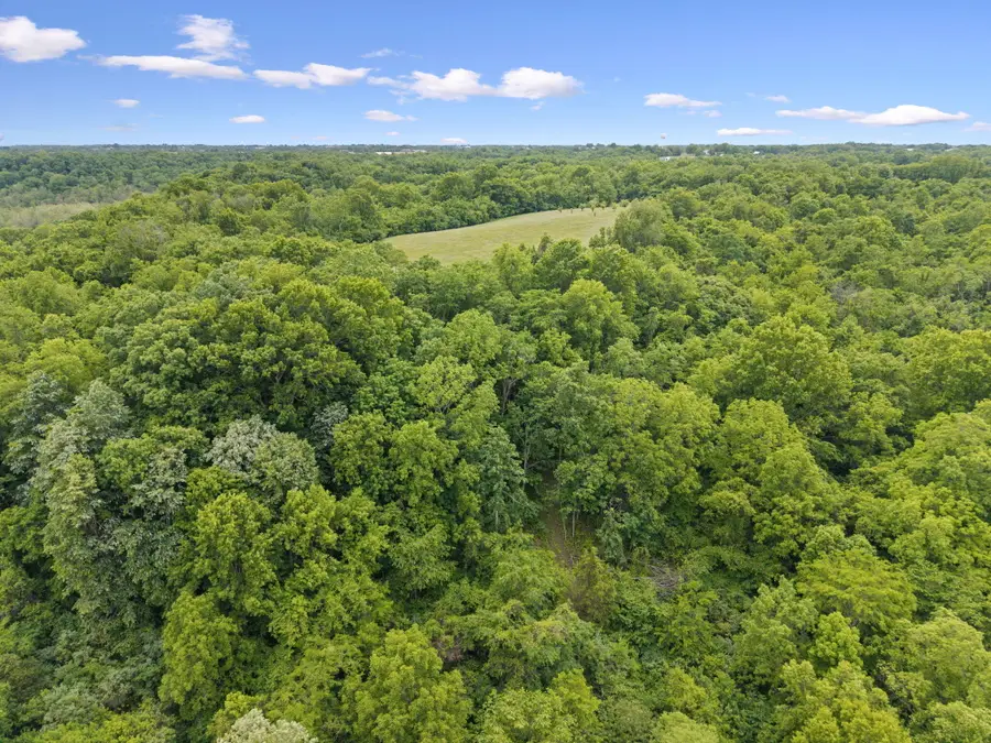 0 Lockmier 57+/- Acres Road, Augusta, KY 41002 - #3