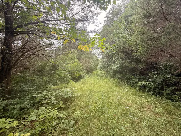 815 Waterworks Road, Williamstown, KY 41097
