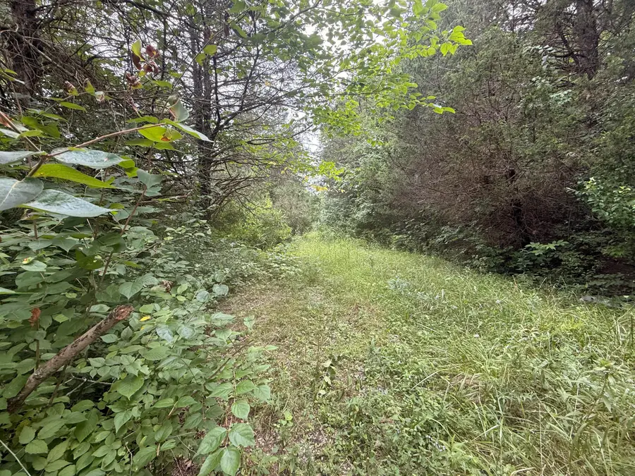 815 Waterworks Road, Williamstown, KY 41097 - #2