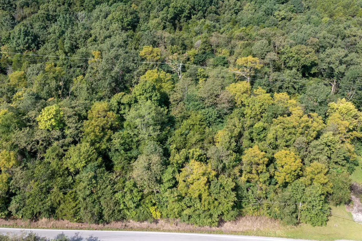 0 Dixie Hwy, Williamstown, KY 41097 - #1