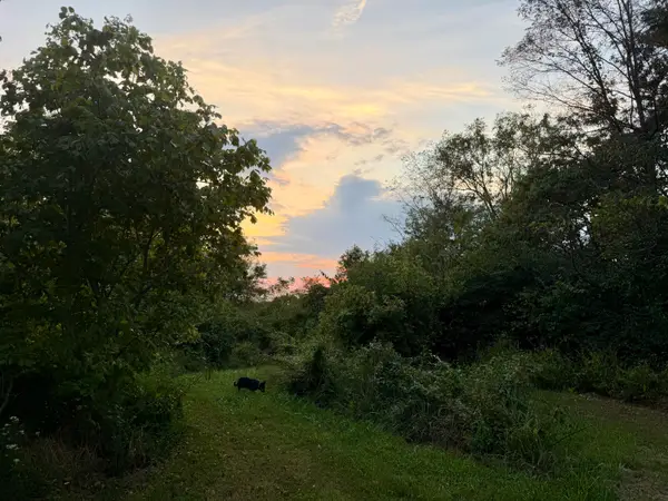 915 Reservoir Lane, Brooksville, KY 41004
