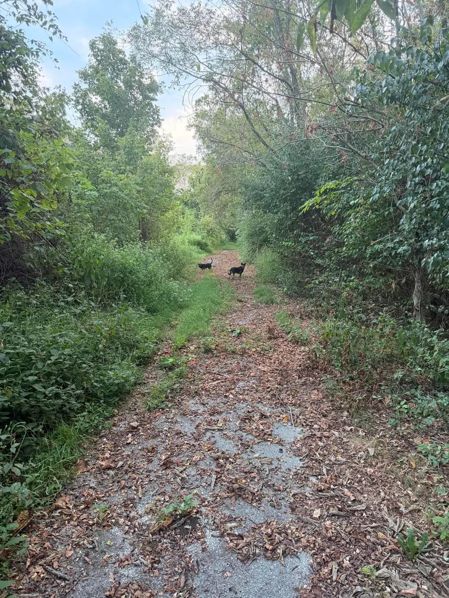 915 Reservoir Lane, Brooksville, KY 41004 - #3