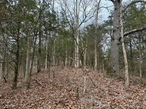 57 +/- Conley Road, Morning View, KY 41063