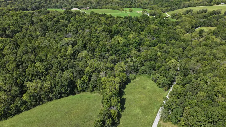 00 Pleasant Grove Road Road, Corinth, KY 41010 - #2