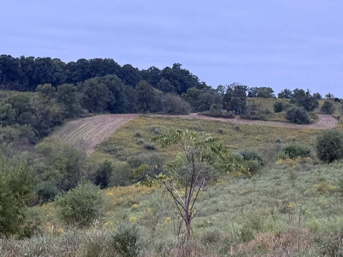 2606 W Ky Highway 330, Falmouth, KY 41040 - #1