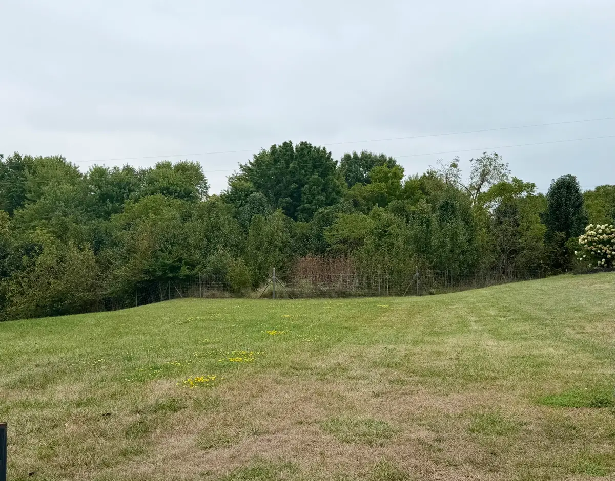 11553 Allaire Court, Independence, KY 41051 - #1