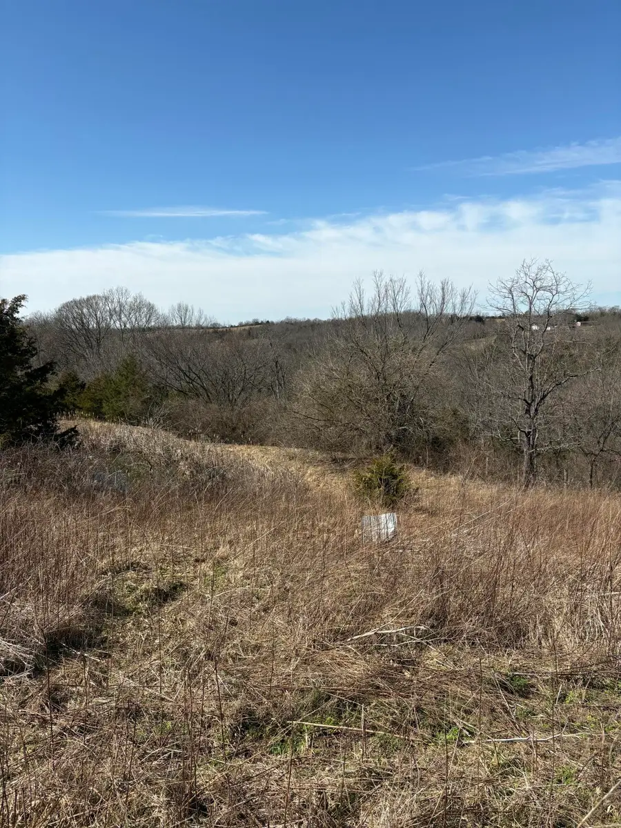 5.06 Acres Snake Lick Rd (cr-1047) Road, Berry, KY 41003 - #3