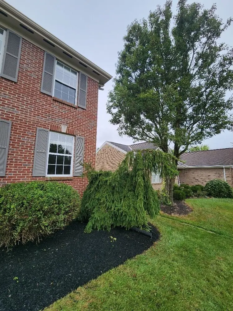 6267 Sierra Trail, Burlington, KY 41005 - #3