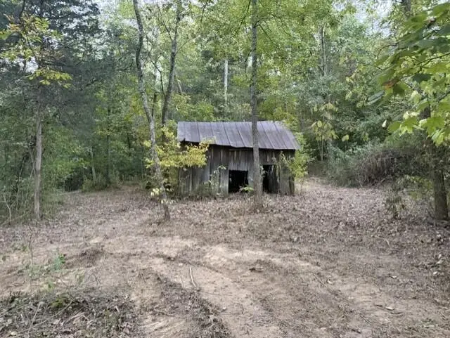 5615 Blue Licks Pike, Mount Olivet, KY 41064 - #1