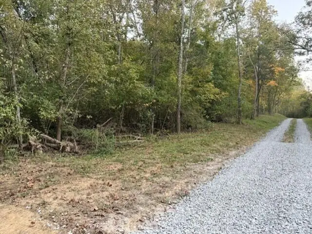 5615 Blue Licks Pike, Mount Olivet, KY 41064 - #3