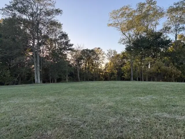 1886 West Creek Spur, Mount Olivet, KY 41064 - #1