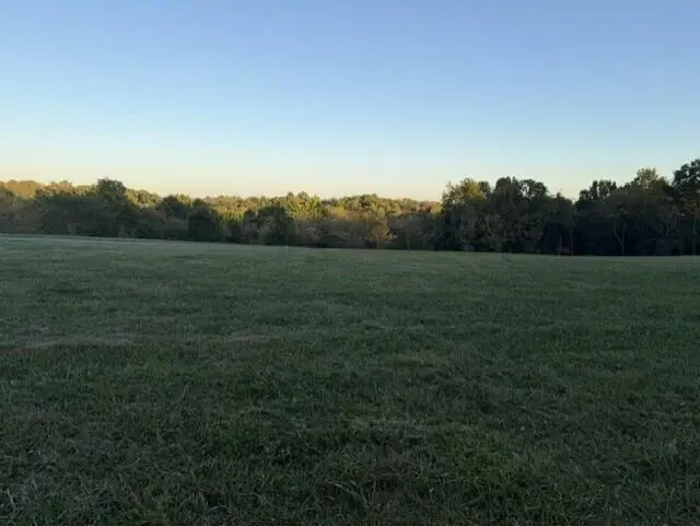 1886 West Creek Spur, Mount Olivet, KY 41064 - #2