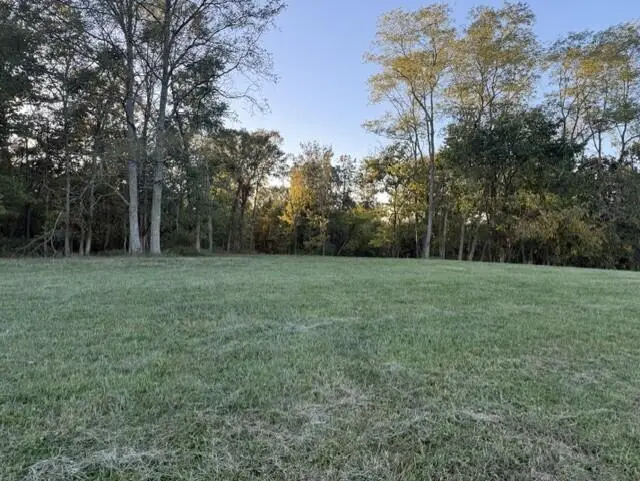 1886 West Creek Spur, Mount Olivet, KY 41064 - #3
