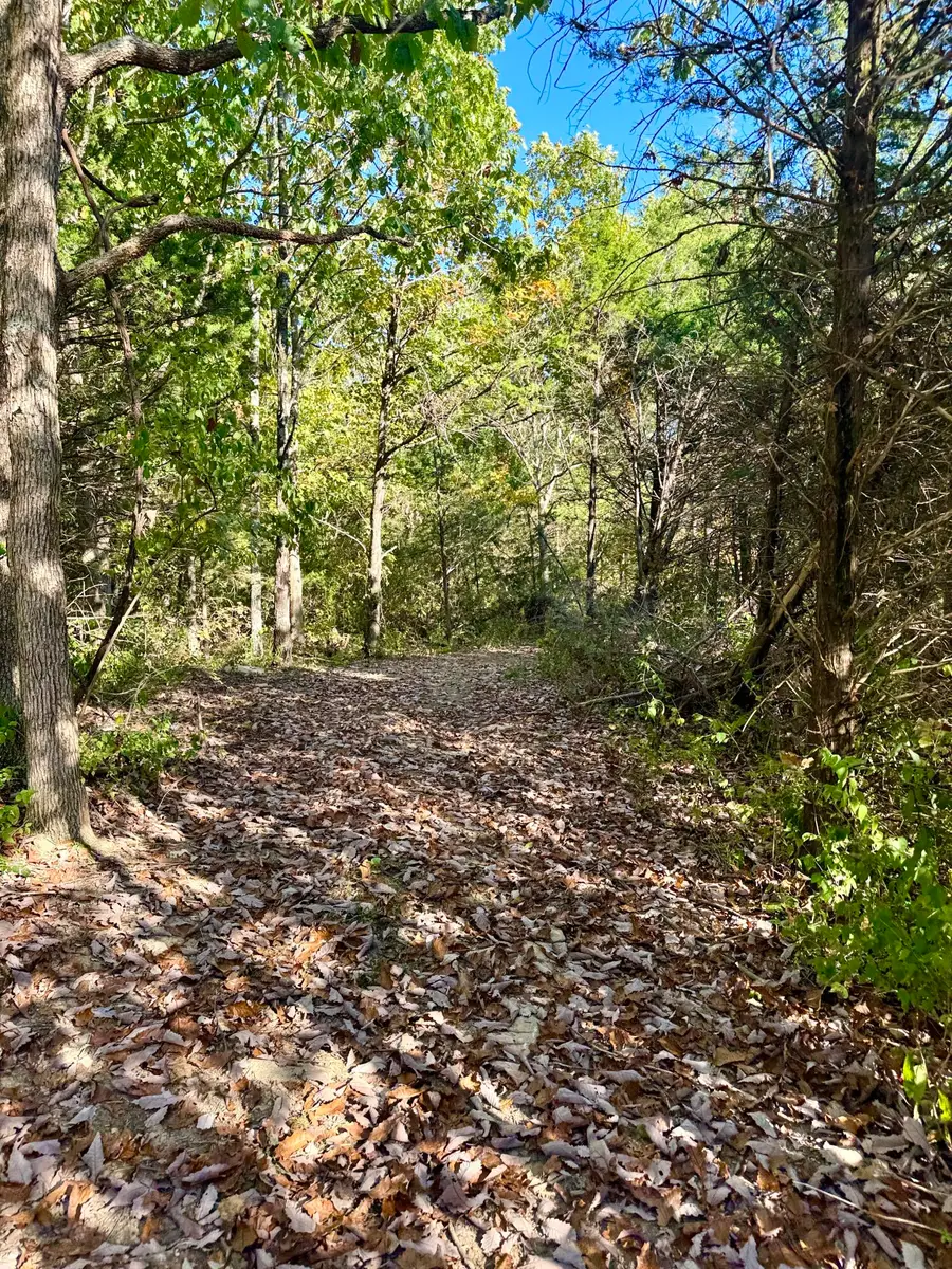 13.11 Acre Taft Hwy #Lot 1, Williamstown, KY 41097 - #2