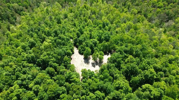322A Clay Camp Road, Grayson, KY 41143