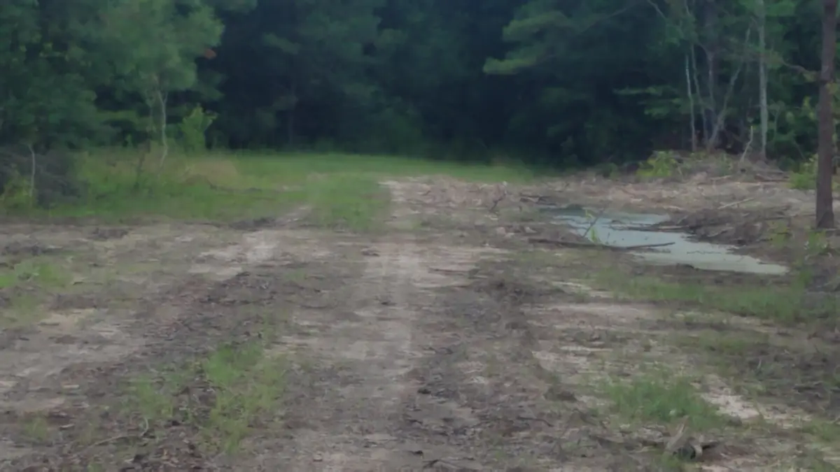 Tbd Little Happy Lane Lot 70, Deridder, LA 70634 - #1