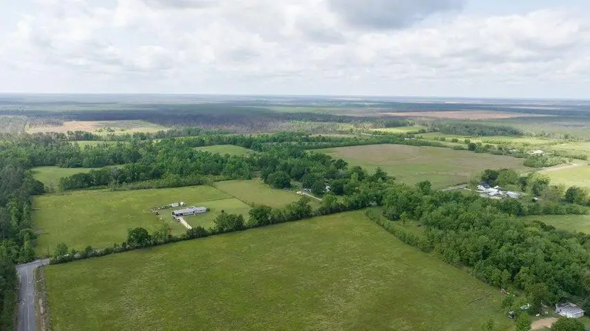 Tbd Neale Oilfield Road, Deridder, LA 70634 - Image #2