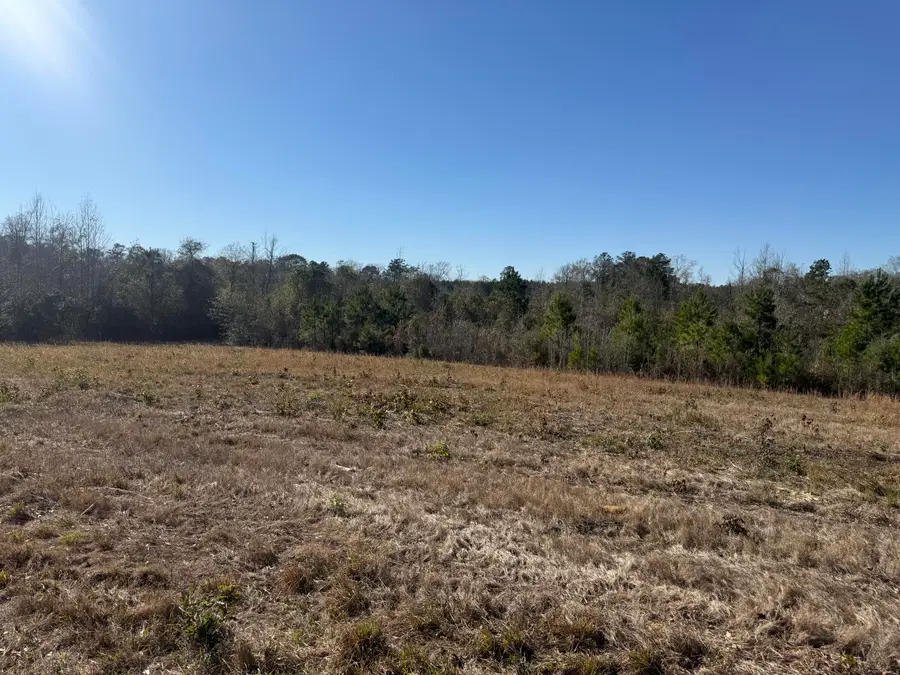 Tbd Hwy 10, Pitkin, LA 70656 - Image #2