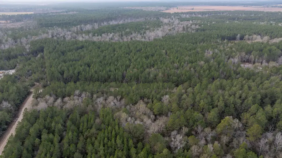 Tbd Phil Cooley Rd, Longville, LA 70652 - Image #2