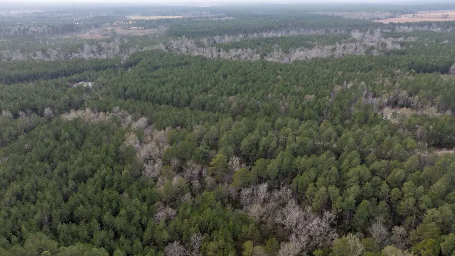 Tbd Phil Cooley Rd, Longville, LA 70652 - Image #3