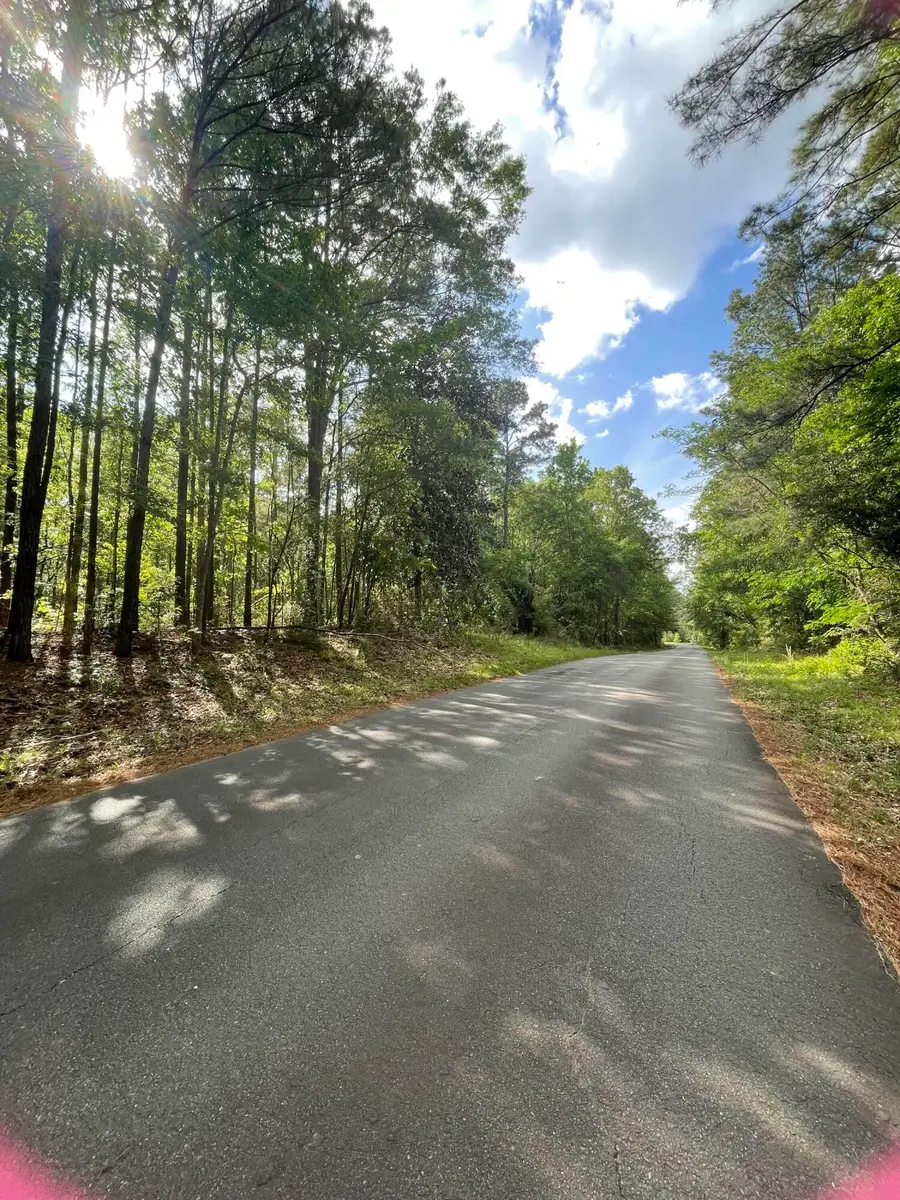 Tbd Castor Lake, Leesville, LA 71446 - #2
