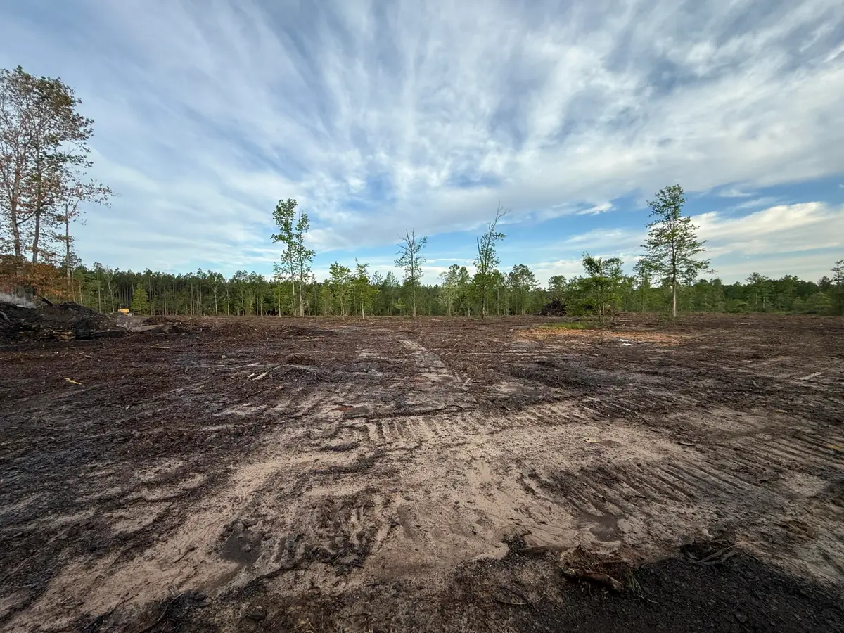 Hwy 110, Longville, LA 70652 - #1