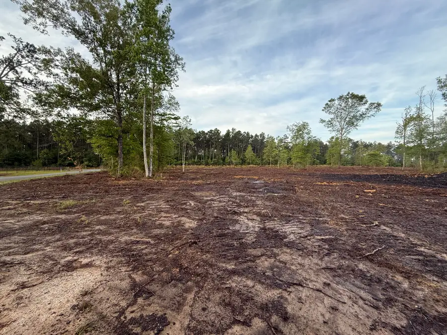 Hwy 110, Longville, LA 70652 - #3