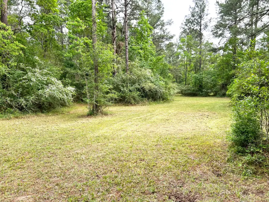 Tbd Cathy Drive, Deridder, LA 70634 - #3