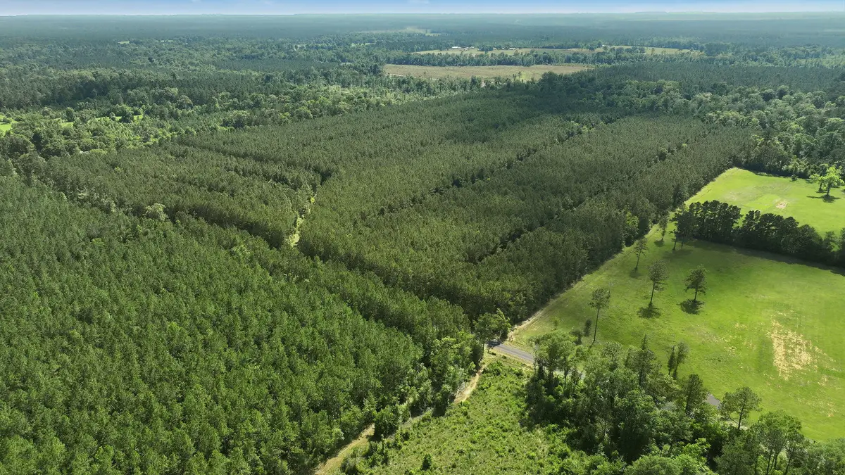 Tbd Tunks Road, Dry Creek, LA 70637 - #1
