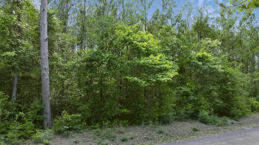 Tbd Tunks Road, Dry Creek, LA 70637 - #2