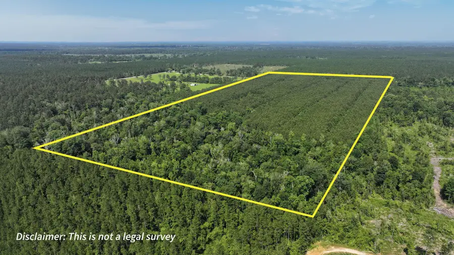 Tbd Tunks Road, Dry Creek, LA 70637 - #3