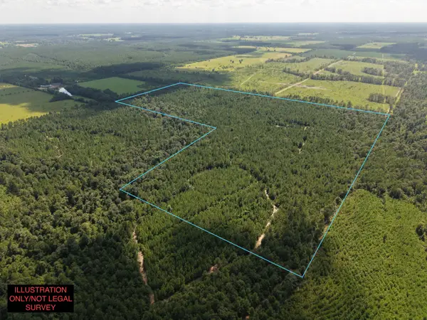 Rutherford Rd, DeRidder, LA 70634