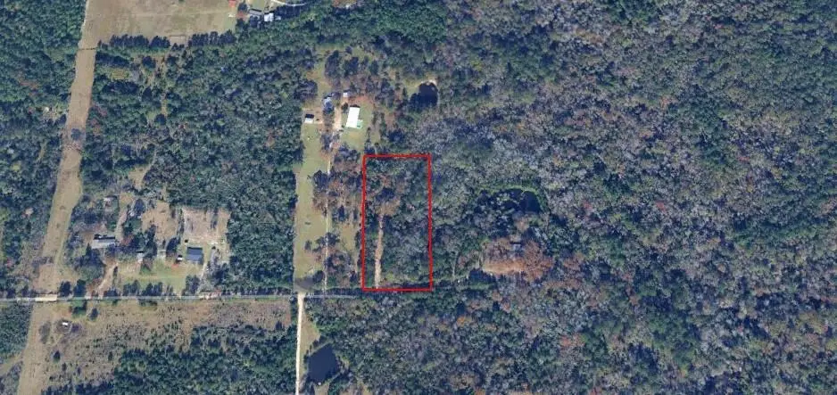 911 Bears Rd, Deridder, LA 70634 - #1