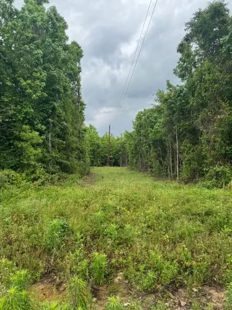 Shirley Loop, DeRidder, LA 70634