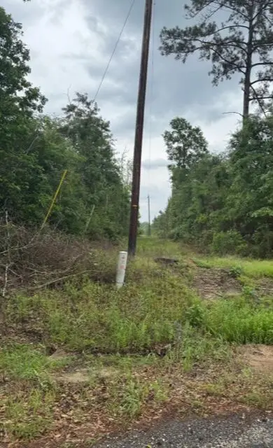 Shirley Loop, Deridder, LA 70634 - #2