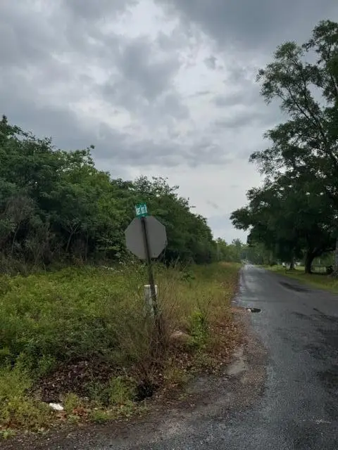 Shirley Loop, Deridder, LA 70634 - #3